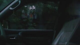 343 video in tag