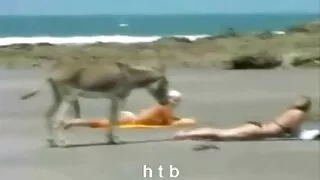 પુખ્ત નોકરડી સારાહ જે ઓપન બીપી સેક્સ